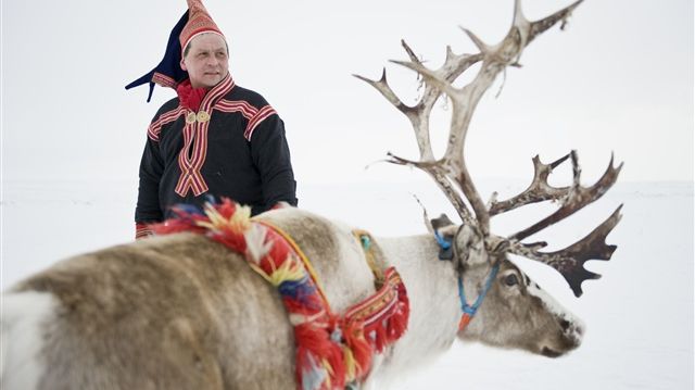 Exotic wildlife safaris in Norway – get close up with killer whales and Rudolph the Reindeer