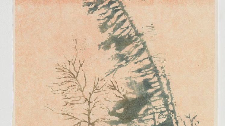 Mamma Andersson: Fir