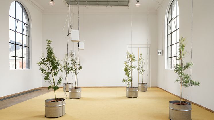 Mohamed Bourouissa_Charlottenborg_022_Photo by David Stjernholm
