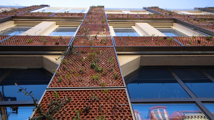 Växtvägg _Södra Larmgatan 13