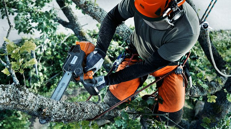 Ny proffsmotorsåg – den bästa för arborister