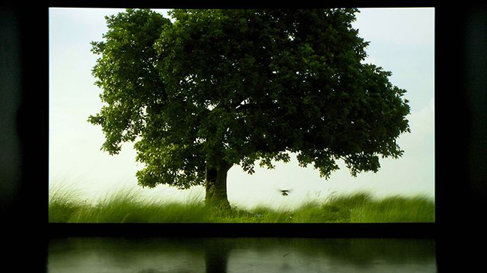 Amar Kanwar, The Scene of Crime (Installation view from The Sovereign Forest). Courtesy of the artist and Marian Goodman Gallery