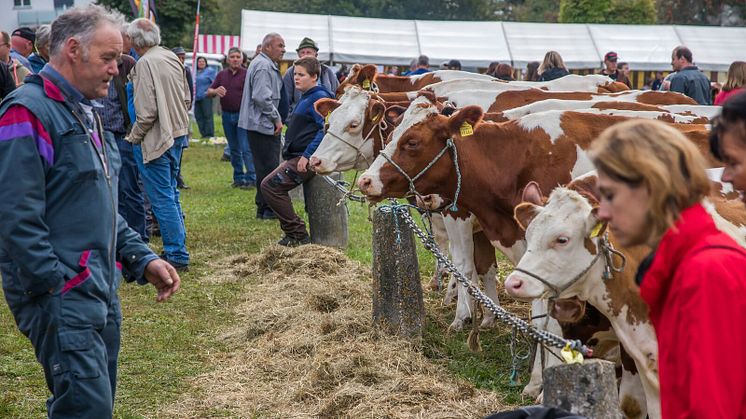 Foire de Chaindon