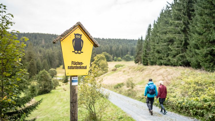 Kammweg Erzgebirge Vogtland_Wildenthal_Foto TVE_Dennis Stratmann (465)