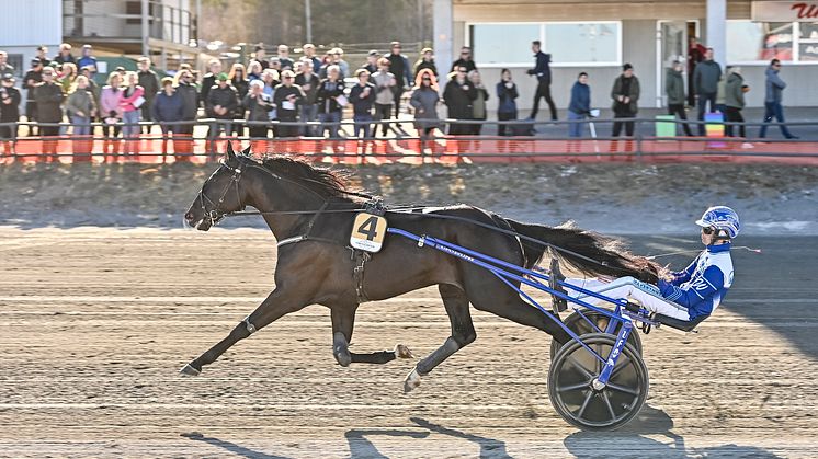 Dags för debut i världens största sprinterlopp! Foto: TR Bild