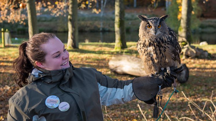 Fågelmöte med djurvårdare på Höst i Skånes Djurpark