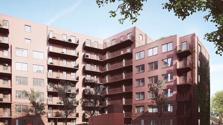 Docenten Innergård