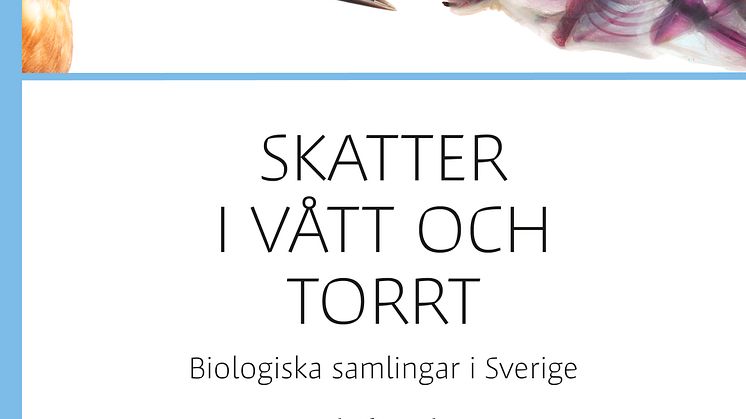 Skatter i vått och torrt. Biologiska samlingar i Sverige.