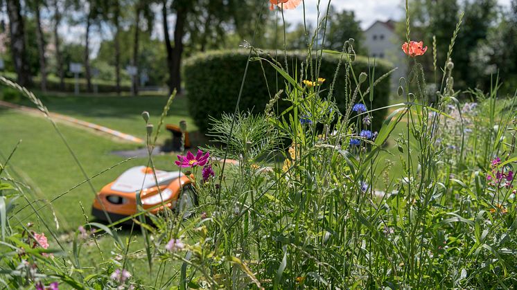 Sommeren 2020 undersøkte en studie ved University of Hohenheim, i samarbeid med STIHL, effektene av ulike klippemetoder på det biologiske mangfoldet i plenens livsmiljø.