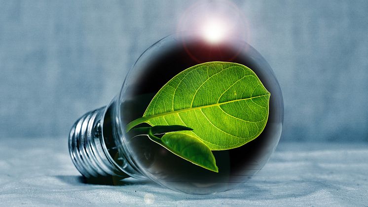 Nytt samarbete mellan finska och svenska sjöfartsklustret med syfte att nå miljö- och klimatmål 