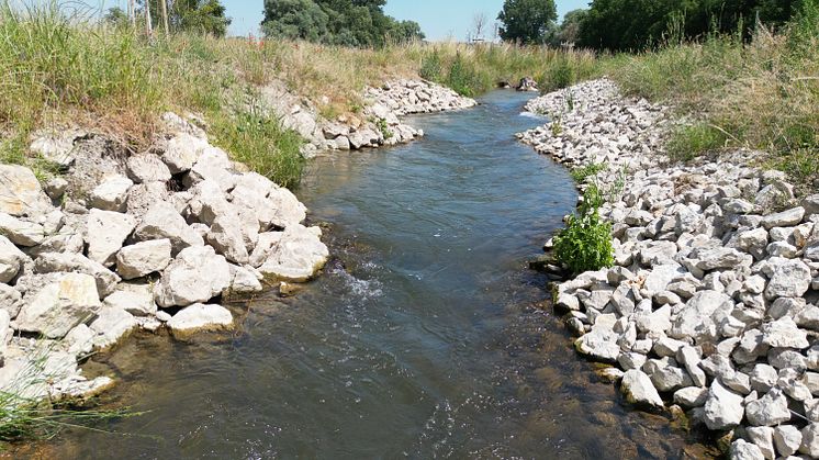 202309267_Fischwanderhilfe Donauwörth