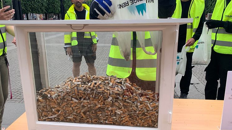 Fimpdag2.jpg