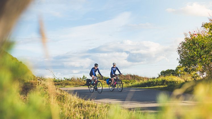 Kattegattleden, Sveriges första nationella cykelled, går mellan Helsingborg och Göteborg, hela vägen genom Halland. Foto: Oskar Albrektsson