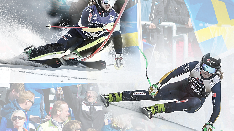 Aspen & kvitfjell 2024 webb