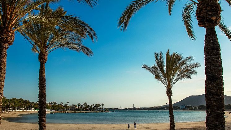 Bästa tipsen på Mallorca! 