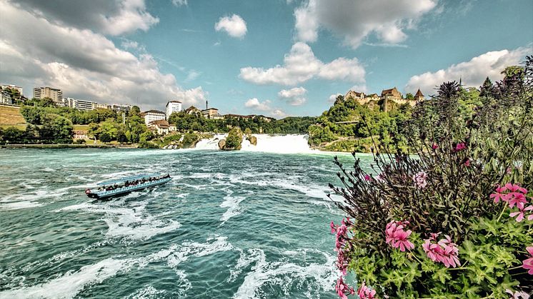 Schaffhausen-Rhine-Falls©Schaffhauserland Tourismus; Bruno Sternegg