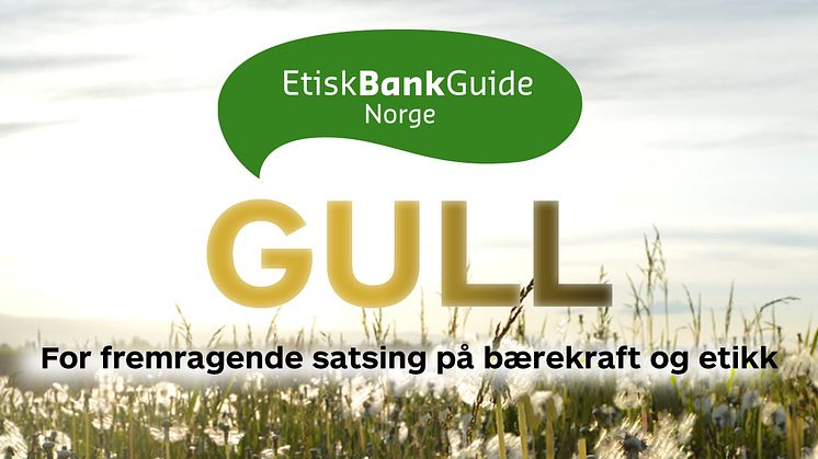 På topp i Etisk Bankguide 2017