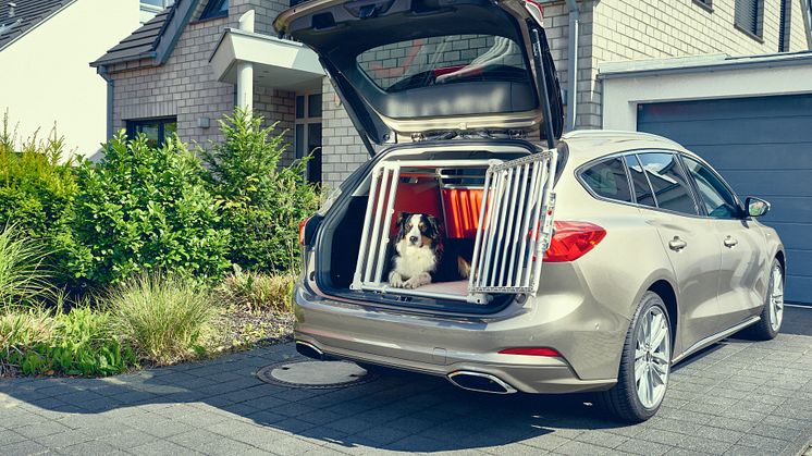 Stor Ford-undersøkelse: 1 av 3 sikrer ikke hunden i bilen