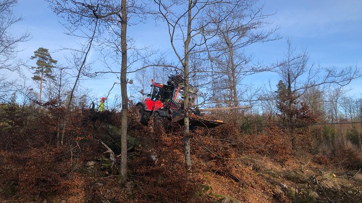 Omfattande insatser i Blekinge efter stormen Malik