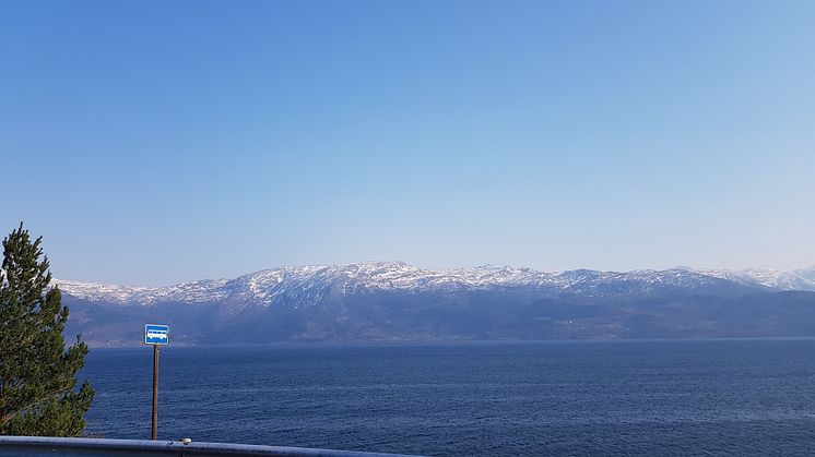 Hardangerfjorden