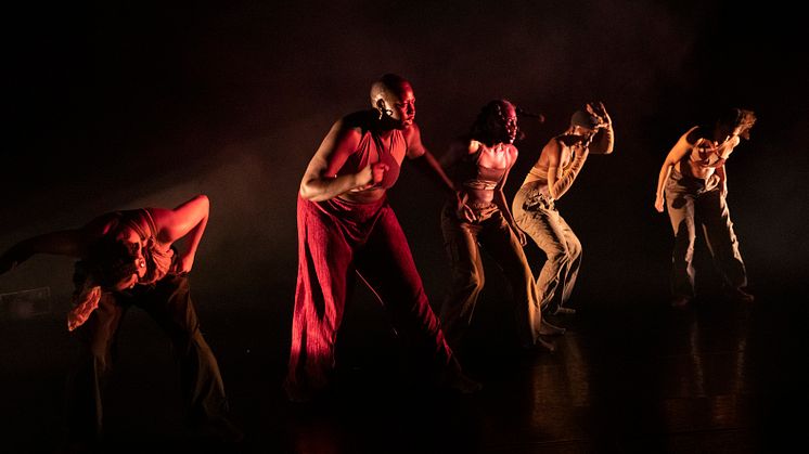 Company Nicolas Huchard - The barefoot diva