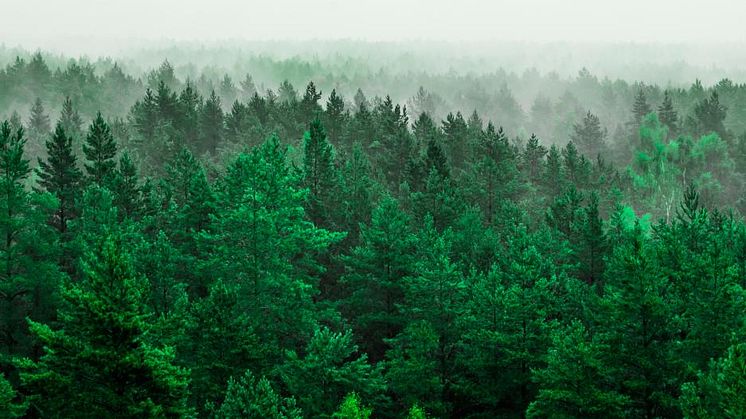Trioworld commits to set Science-Based Targets