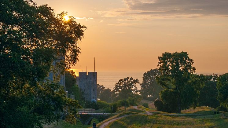 Almedalsveckan äger rum i Visby mellan den 1 - 8 juli. Bild: Region Gotland