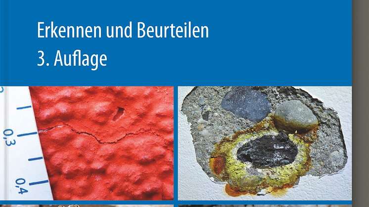 Schäden an Gebäuden 2D (tif)