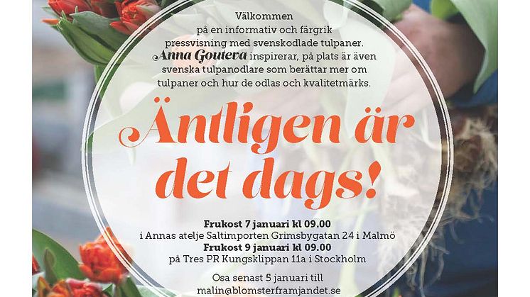Äntligen är det dags - tulpanpressvisning