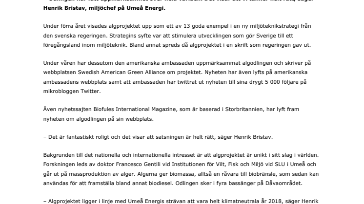 Algodling vid Umeå Energi ger eko i världen