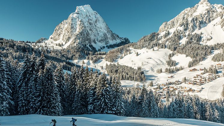 ST_3x2_Alpthal-myths_(c)Switzerland Tourism:Jan Geerk