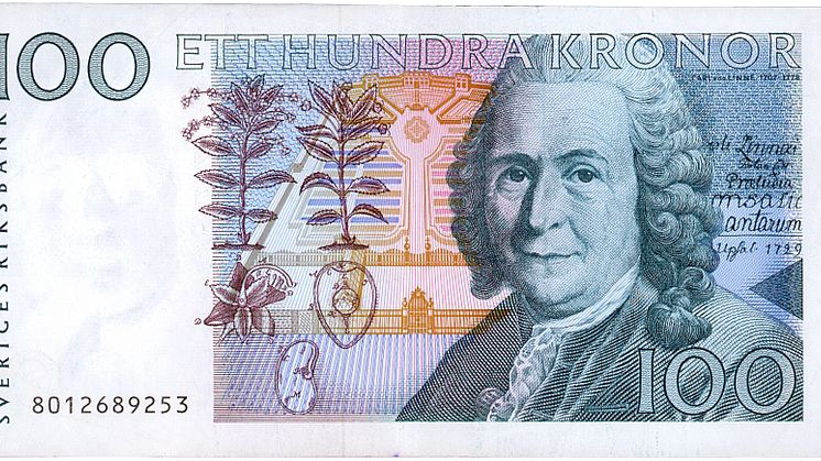 pm_Linnés första skrift 2