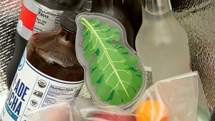 HW46_KALE HOTCOLD PACK_ACTION.jpg