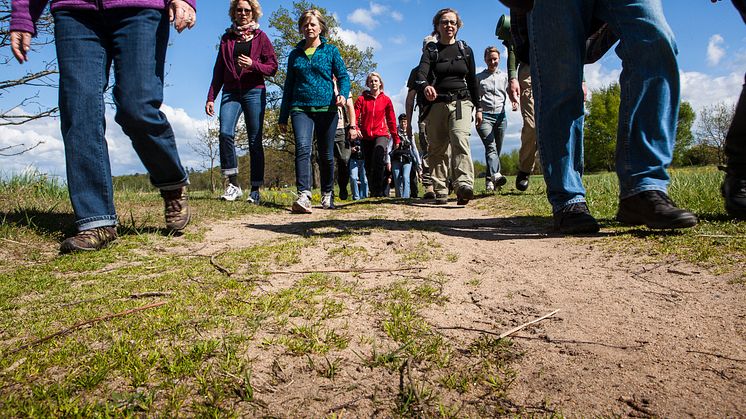 Hässleholm och Skåne förbereder sig inför vandringseventet Eurorando 2016
