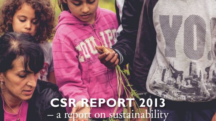 CSR Report 2013- a report on sustainability