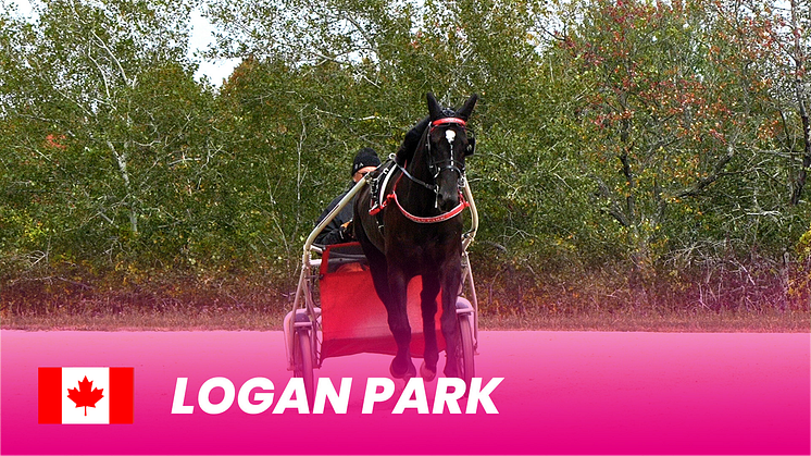 Logan Park_1920x1080.png