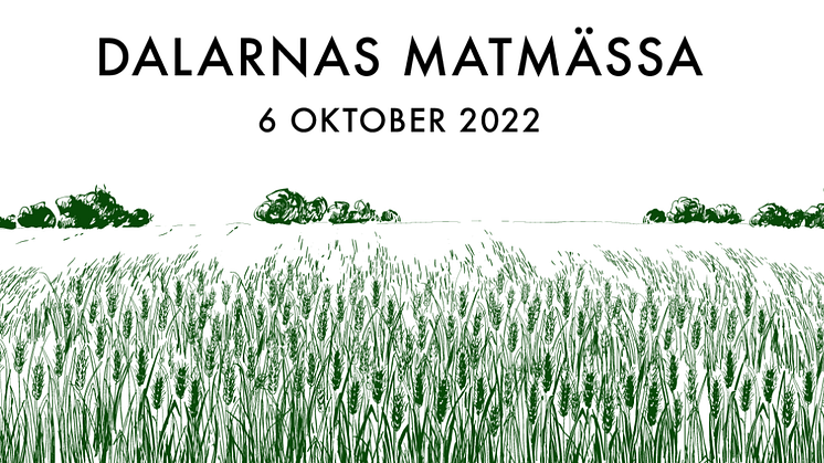 Dalarnas matmässa