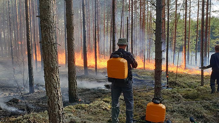Bränningsarbetet göra av utbildad personal och bränningsledaren har kontakt med räddningstjänst och SOS alarm. Foto: Peter Post, Länsstyrelsen.