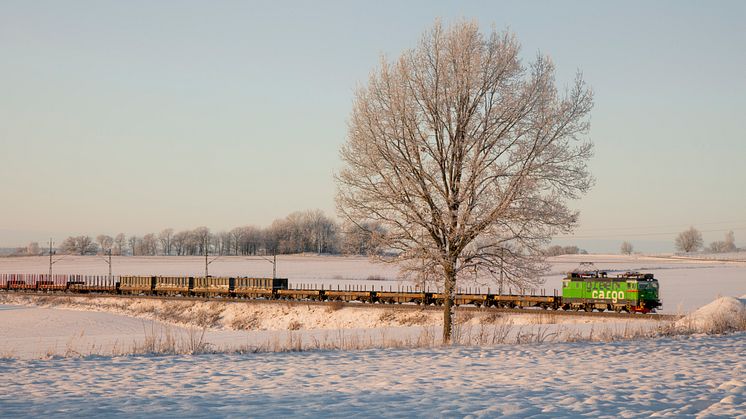 Green Cargo vinter