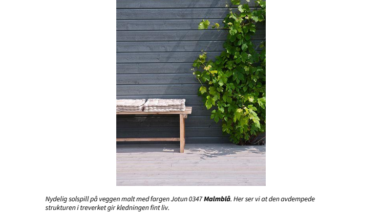 Hva er oljedekkbeis?