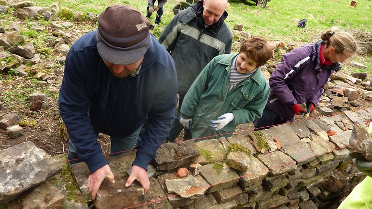 Dry stone walling courses at Chesham Local Nature Reserve