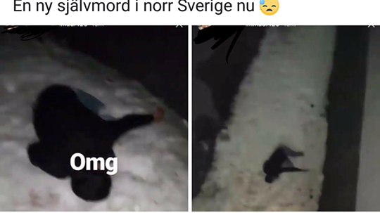 Ett inlägg i facebookgruppen Stoppa utvisningarna till Afghanistan! från 2017.