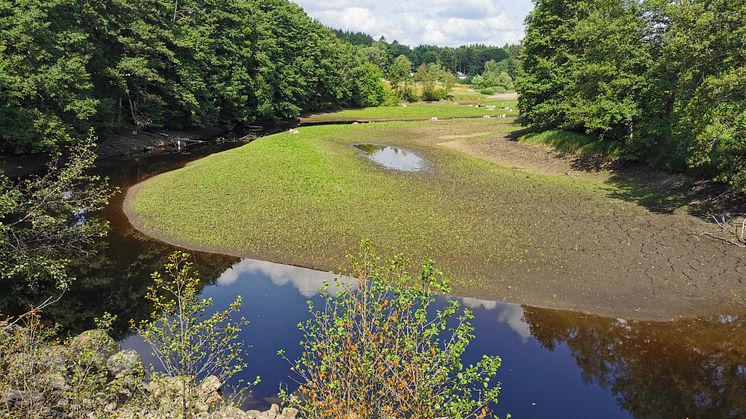 Snittingedammen Foto: Ronneby kommun
