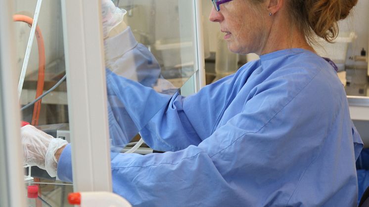 Bröstcancerforskare får pris för alternativ till djurförsök