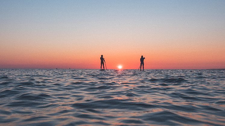Stand Upp Paddle längs den halländska kusten - en populär utomhusaktivitet.