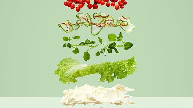 Larvmacka - Carl Kleiner