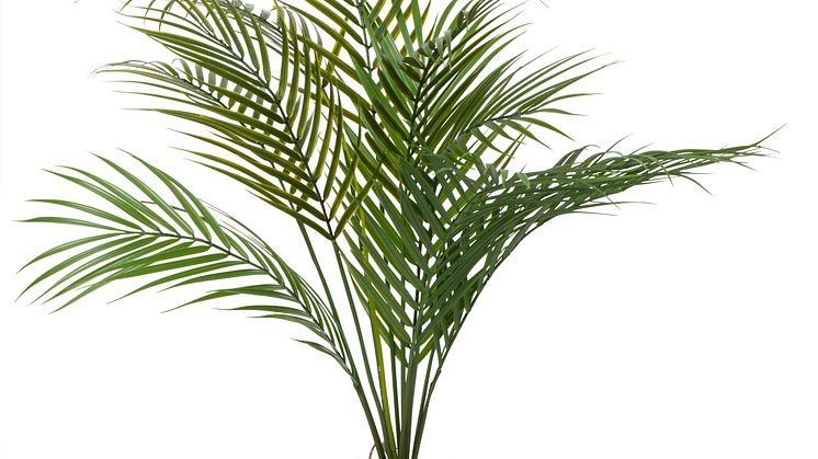 NYHET! Pot Plant Palm 68 cm Artificial material 19,90 EUR.jpg