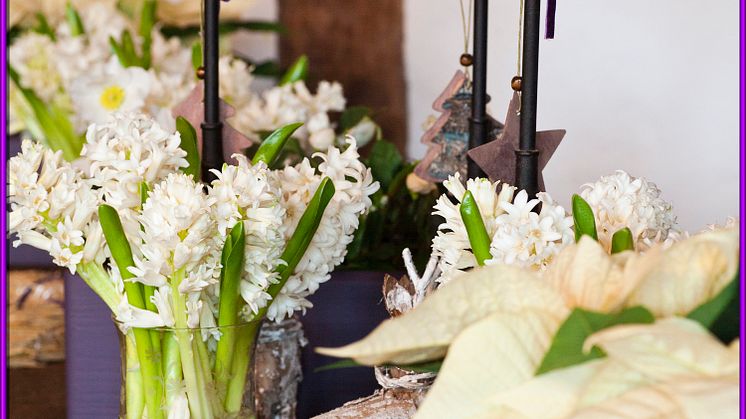 Blommande fredagsmys vecka 50