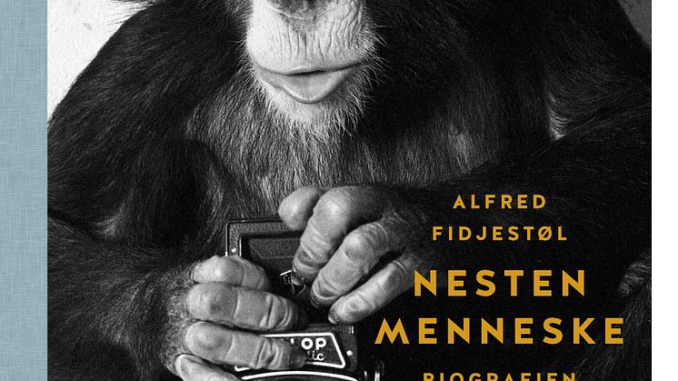 Omslag - Nesten menneske