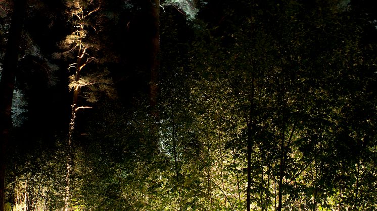 Outdoor Lighting Solutions